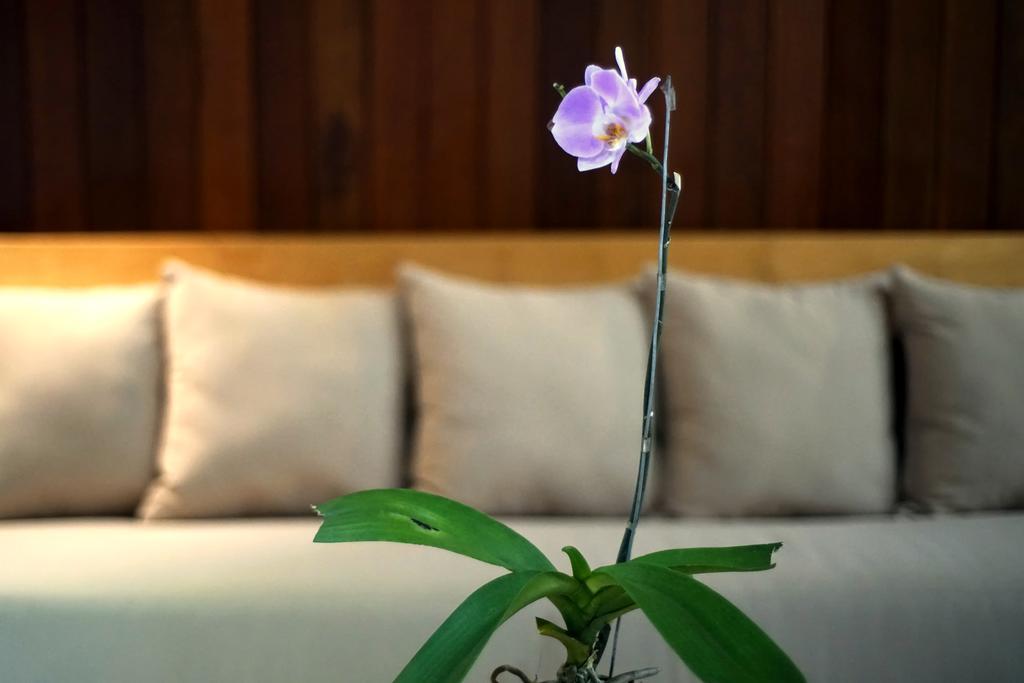 Bale Mandala Villas スンギギ エクステリア 写真